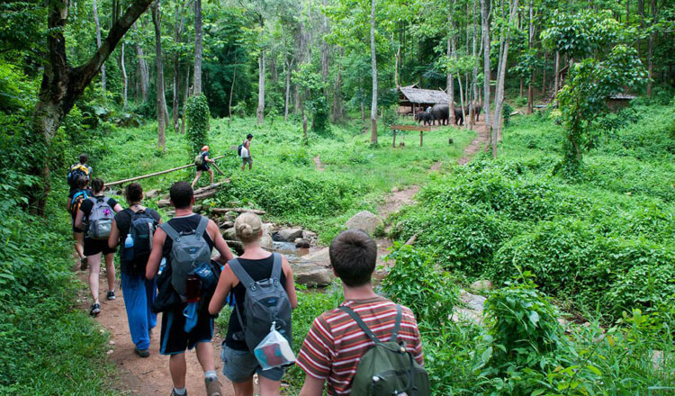 Tourists trekking near a community-based tourism site in Koh Kong province. Ministry of Tourism