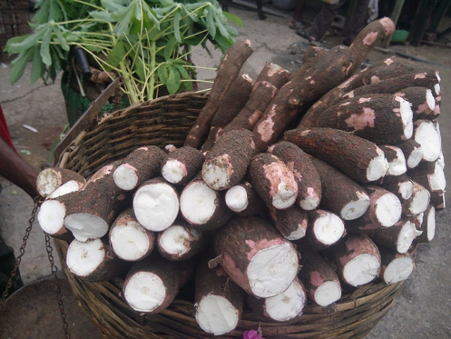 Cassava Sector Strategic Plan of the CLESIDRA Project